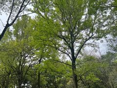 -杭州植物园