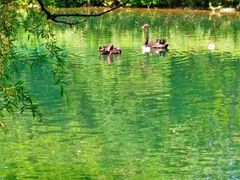 -长白岛森林公园