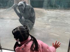 -石家庄市动物园