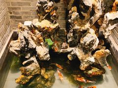 -鸭匠食府·挂炉烤鸭·新京菜(阜成路店)