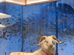 -百草滩羊清水涮羊肉·清真·宁夏盐池滩羊(莲花桥店)
