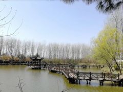 -合肥滨湖国家森林公园