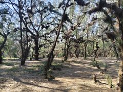 -北海金海湾红树林生态旅游区