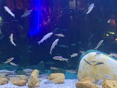 -味界·精致赣菜(招商花园城店)