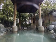 -张家港金凤凰度假村温泉