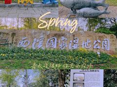 -西溪国家湿地公园