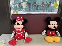 -睿宝儿科·眼科·口腔(杨浦新江湾城店)
