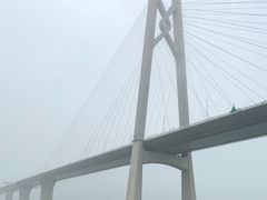 -招商蛇口邮轮母港(观光客运)