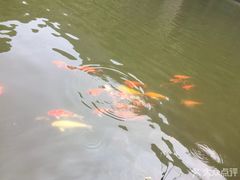 -龙潭大峡谷自然风景区