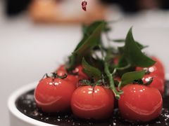 -悦秀·高级粤菜