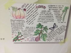 -上海昆虫博物馆