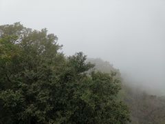 -三块石国家森林公园