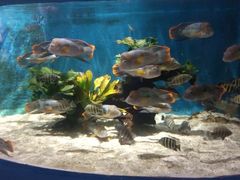 -沙沙哗啦海洋馆(华宇百花谷店)