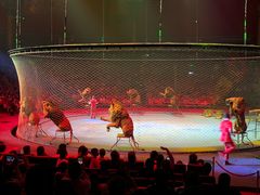 -珠海横琴长隆《卡卡虎奇遇记》