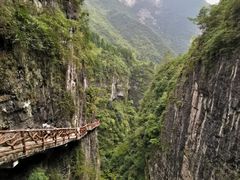-鹿院坪生态旅游景区