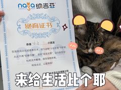 -纳吉亚猫专科动物医院博雅分院