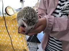 -平行世界·猫咖(首经贸店)