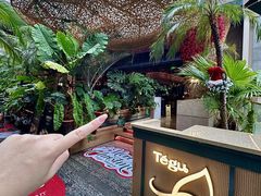 -Tegu泰古莲·泰国餐厅(红山6979店)