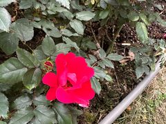 -人民公园(罗湖区)