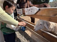 -HERRE·FARM 赫尔露营农场·团建聚会包场