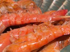 -匠和风精致料理(春熙路群光广场店)