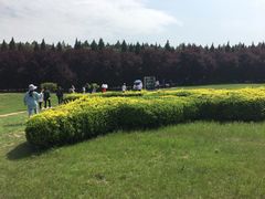 -秦始皇帝陵博物院-丽山园