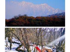 -太子岭滑雪场
