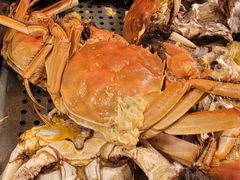 -视界美食自助餐厅·石家庄希尔顿酒店