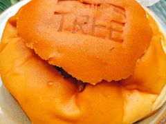 -大树餐厅(红旗街万达店)