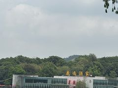 -鹿鸣酒家(越秀店)