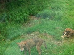 -西安秦岭野生动物园