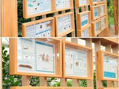 -恩格贝生态旅游区