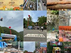 -栾川竹海野生动物园