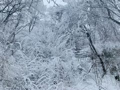 -终南山南五台景区