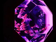 -上海环球金融中心云端足球盛典