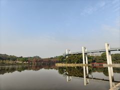-东莞植物园