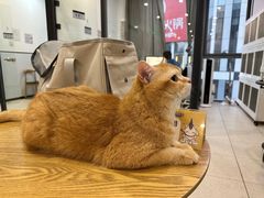 -萌兽医馆·眼科·异宠专科(三里屯店)