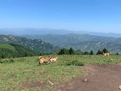 -驼梁风景区