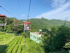 -青岛中山公园-索道售票处