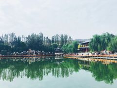 -金城公园