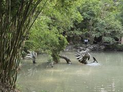 -汇龙潭