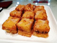 -南枝记