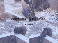 -十一咖啡(青年大街工厂店)