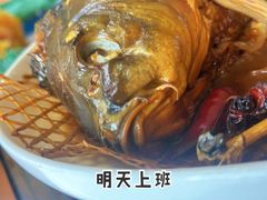 -白洋淀景区