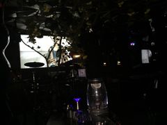 -新地会音乐现场