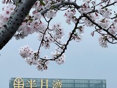 -白鹭园
