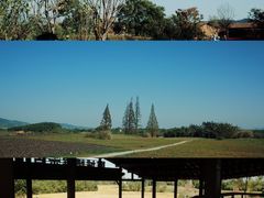 -良渚古城遗址公园