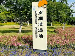 -贡湖湾湿地公园