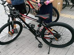 -道路口单车爱瓦士dahon大行
