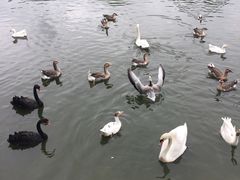 -石家庄市动物园